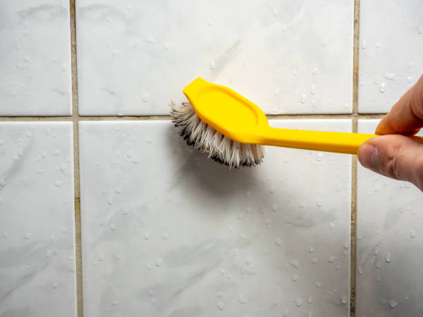 Best Bathroom Mold Remediation in Hudson, OH