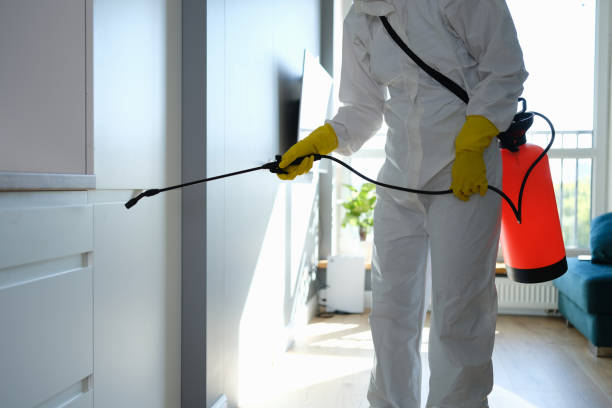 Best Industrial Mold Remediation in Hudson, OH